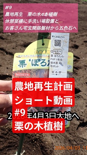 第9話 栗の木植樹 #diy #農業 #庭作業 #農地 #大地の再生 #農地再生 #日本を守る #日本 #現代農業