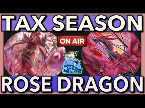 Making Meta Slaves File Their Taxes with Bramble Dragon