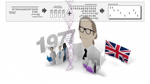A Brief Introduction to Genetics