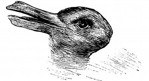 Is this a duck or a rabbit? Your answer says a lot about your personality.