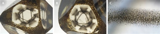 Unusual Patterns in Diamonds Composed of Dark Micro-Inclusions