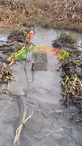 2.6M views · 10K reactions | Best Cage Trap with Fishing Catfish #bigfish #catching #canal #reels | Everyday village vlog | Facebook