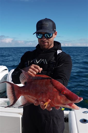 Exploring Anna Maria Island: Fishing and Relaxing Trip