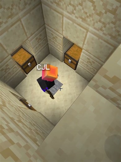 Minecraft Challenges: Explore a World Where Time is Frozen