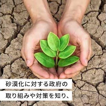 砂漠化によってどんな影響が現れる？私たちができることとは