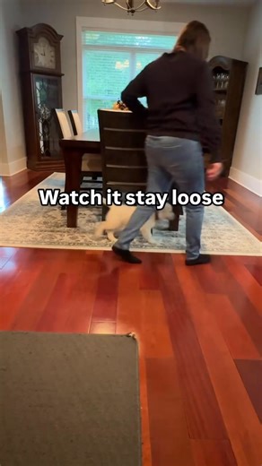 2.3M views · 24K reactions | Step 5: The leash step everyone skips...