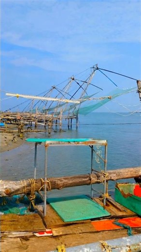 The 600-Year-Old Fishing Method That Still Works Today 🌊