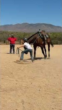 #horseshow #horse #equestrian #rodeo #ollie #snoopy #practice #dakota #ponys #thoroughbred #funtime￼