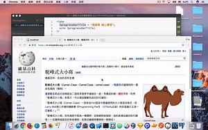 第五课PHP-变量与写法格式