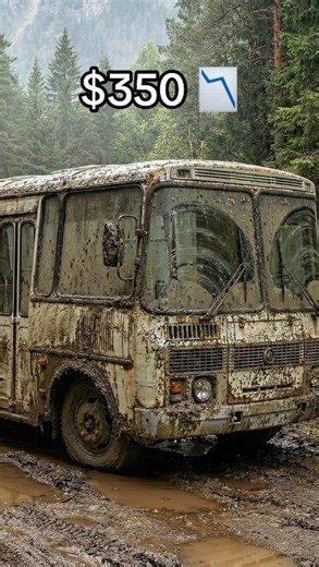 Technical Crafter on Instagram: "From a rusty Soviet scrap heap to a luxury off-grid tiny home 🚌✨ Solo build. Extreme restoration. Full transformation. What started as an abandoned bus became a dream home on wheels. Hard work, patience, and pure DIY passion. This is more than restoration – this is a second life. #BusConversion #SkoolieBuild #VanLife #TinyHome #RestorationProject BeforeAndAfter DIYBuild"