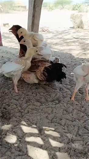 #motherlove ❣️#feelings #save #with #mother