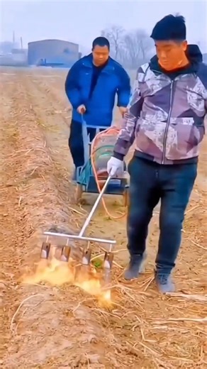 Revolutionizing Agriculture: The Future of Modern Farming #agriculture #modernfarming