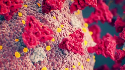 Delta variant detected in all 50 states