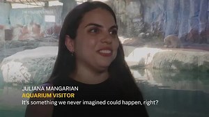 'First polar bear cub born in LatAm' makes debut at Sao Paulo Aquarium