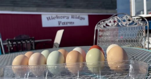 Va. farmers say bird flu, inflation may cause eggs prices to rise more