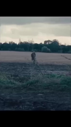 Fury Movie Highlights: Brad Pitt's Intense Scenes