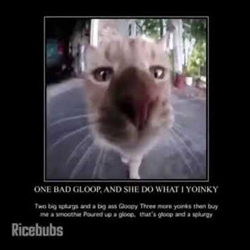 One Bad Gloop (ORIGINAL)