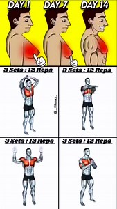 201K views · 1.8K reactions | Best Chest fat Removal Workout for beginners !✅ . . No ©Copyright infringement intended Email (contact) Us to fix/remove. . . . . #fitmax #ironnzone #fitzoneyt #fitnessaim #arms #fitness #gym #bodybuilding #biceps #workout #abs #fit #muscle #fitnessmotivation #motivation #chest #triceps #gymmotivation #legs #shoulders #fitfam #training #body #gains #gymlife #muscles #back #bodybuilder | __fitmax_ | Facebook