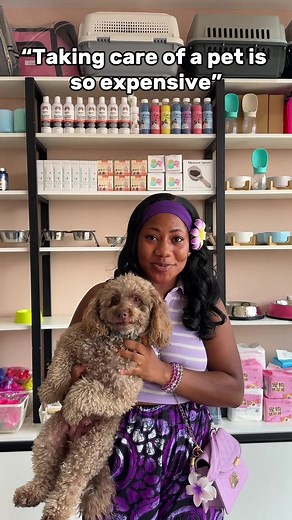 Affordable Pet Accessories for Loving Pet Owners