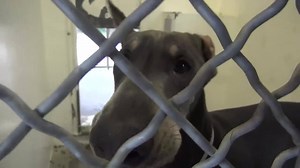 8.6K views · 498 reactions | DEREK has been waiting so patiently to...