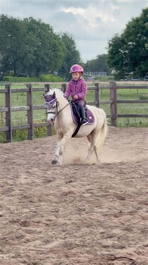©️Anaïs Super Pony’s - THE place to buy children sport ponies #showjumping #horserider #horseriding