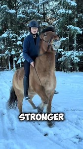 392K views · 5.2K reactions | Why Horses Stand on Vibrating Plates 勞 #usafacts #usa | Crazyworld | Facebook