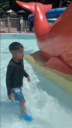 Divertido dia de piscina