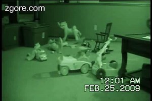 zgore.com -  death videos caught on tape - my death caught on tape