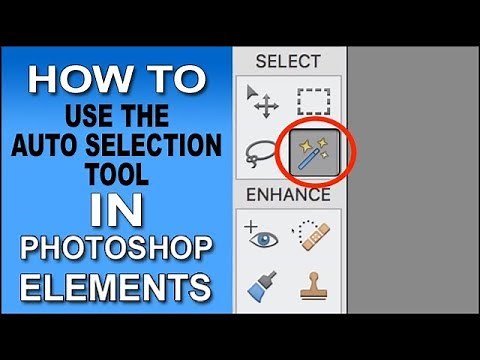 Auto Selection Tool Photoshop Elements 2018