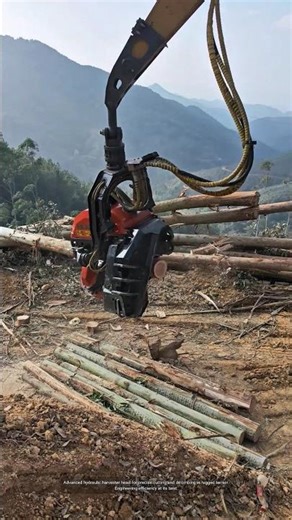 Efficient Forestry Machinery: Automatic Wood Cutting and Processing!
