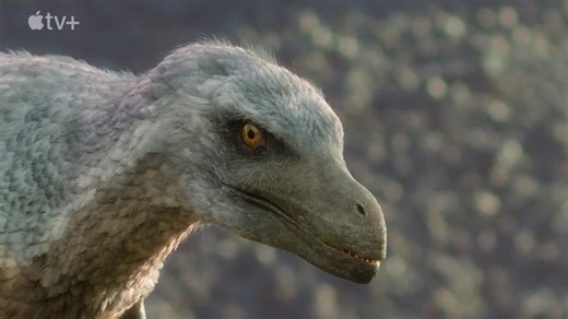 'Prehistoric Planet' shows deadly Velociraptor with feathers: Apple TV+