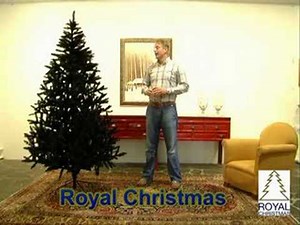 Black Christmas Tree