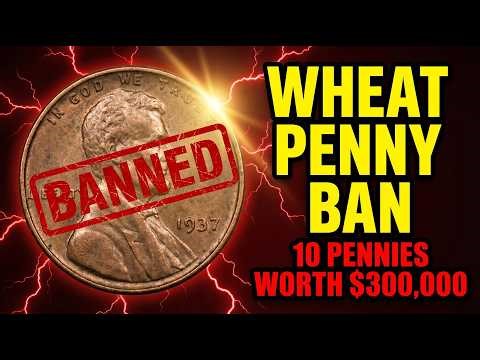 The WHEAT PENNY Ban — 10 Wheat Cents Worth $300,000+ Before They Vanish