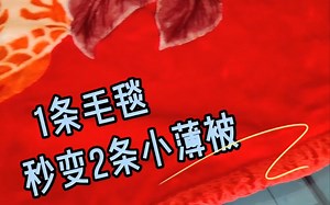 一条毛毯秒变两条小薄被