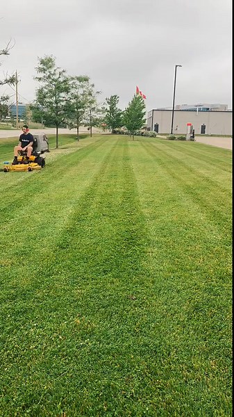 Perfect Edging and Trimming — Lawn Care Done Right