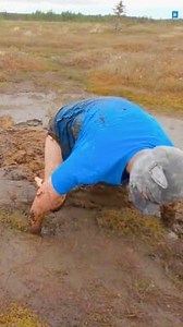 626K views · 3.3K reactions | Why Are Peat Bogs So Bouncy? | Mystery Compass | Facebook