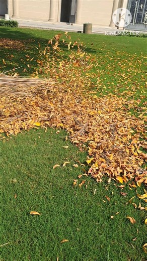 Slow-motion Effects|#shortsfeed #shorts #workntech