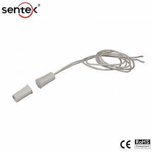 [Hot Item] Recessed Magnetic Security Reed Switch