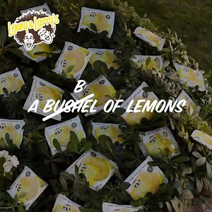20 reactions · 4 comments | A bushel of lemons... a bush full of lemons Some might call us punny  | Lenny & Larry's | Facebook