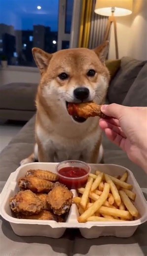 Craving Fried Chicken? Find Out Why It's Addictive Every Day