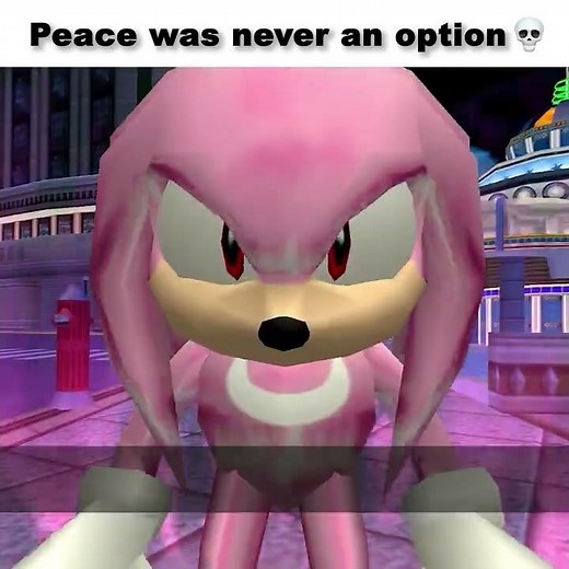 Knuckles Disturbs the peace #sonic #memes