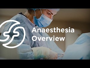 Overview of Anaesthesia
