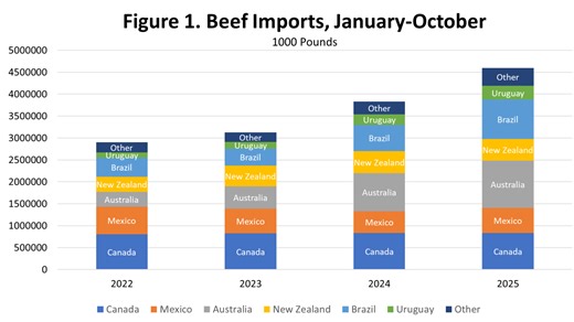 2025 Beef Imports See 20% Jump During First 10 Months
