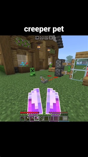 easy Creeper pet #minecraft