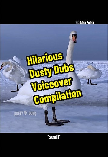 Hilarious Dusty Dubs Voiceover Compilation