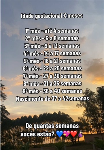 Idade gestacional: quantas semanas tem cada mês da gravidez