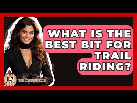 What Is The Best Bit For Trail Riding? - The Horses Stable