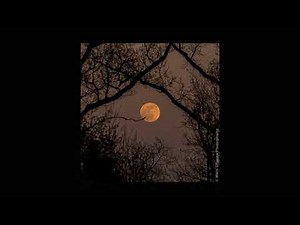 eleanor rigby - the beatles (slowed + reverb)