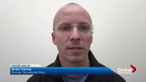 Bird strike caused engine stall in deadly Snowbirds crash