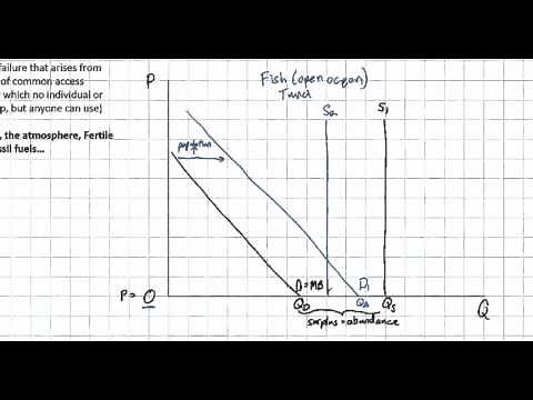 Visualizing the Tragedy of the Commons